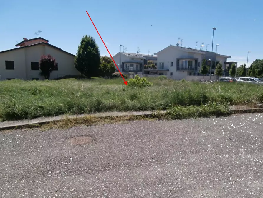 Immagine 3 di Terreno edificabile in vendita  in viale Veneto a Codogno