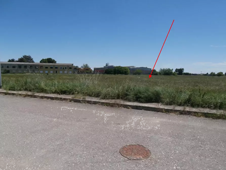 Immagine 13 di Terreno edificabile in vendita  in viale Veneto a Codogno