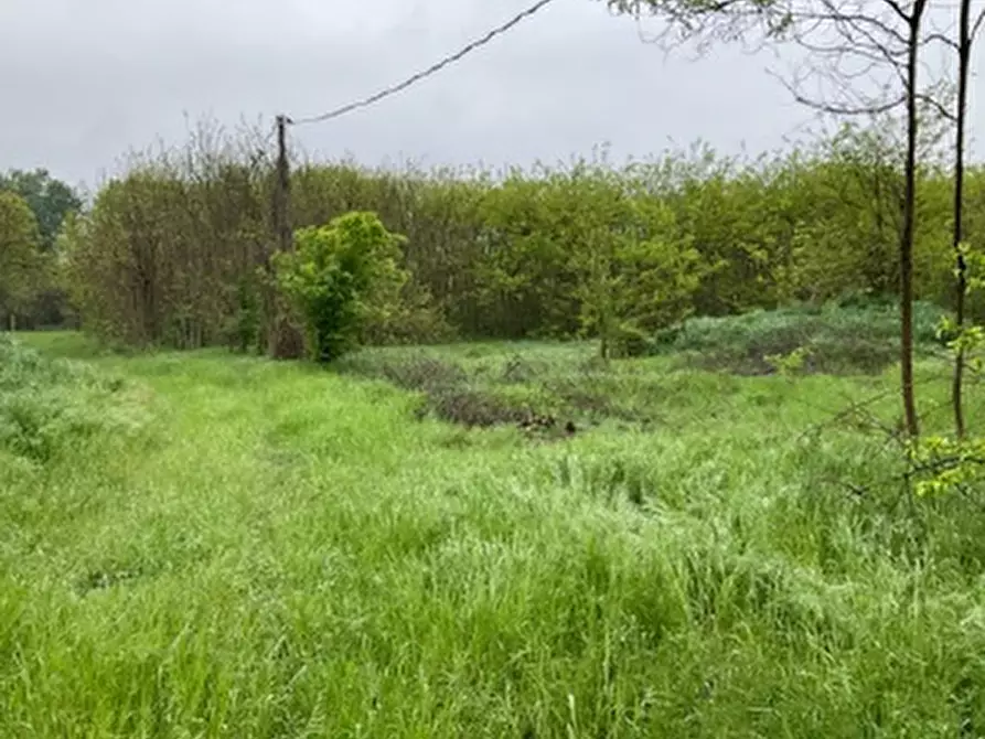 Immagine 2 di Terreno edificabile in vendita  in Viale Poggio Reale a Mantova