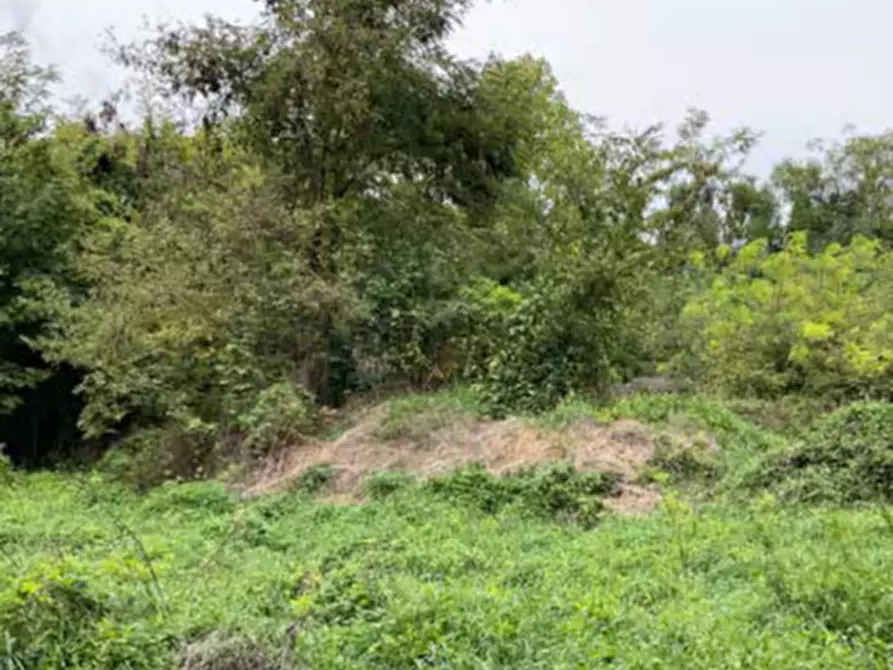 Immagine 4 di Terreno edificabile in vendita  in Viale Poggio Reale a Mantova