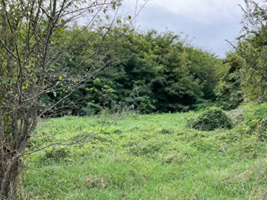 Immagine 5 di Terreno edificabile in vendita  in Viale Poggio Reale a Mantova