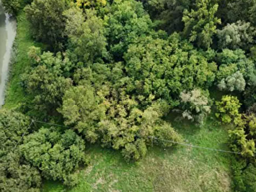 Immagine 7 di Terreno edificabile in vendita  in Viale Poggio Reale a Mantova