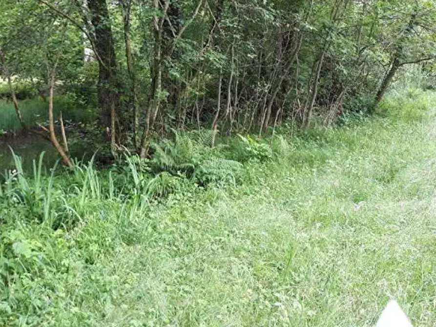 Immagine 2 di Terreno agricolo in vendita  in Località Valganna a Valganna