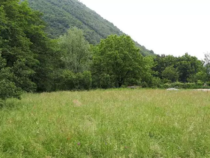 Immagine 3 di Terreno agricolo in vendita  in Località Valganna a Valganna