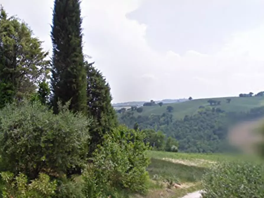 Immagine 17 di Casa indipendente in vendita  in Via Cavallara a Mondavio