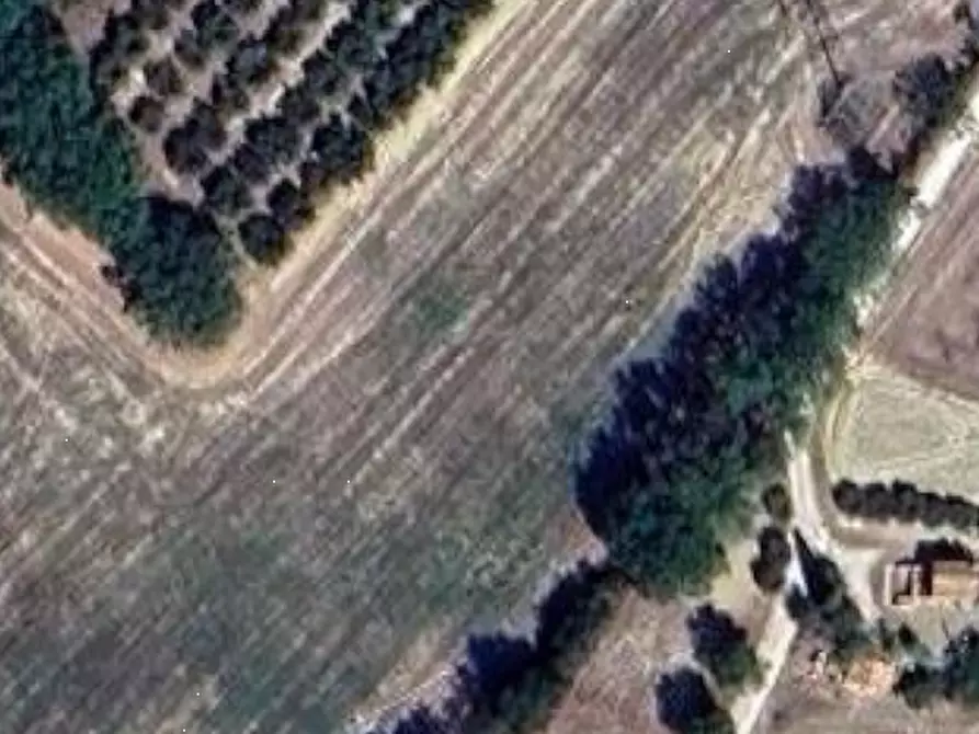 Immagine 22 di Casa indipendente in vendita  in Via Cavallara a Mondavio