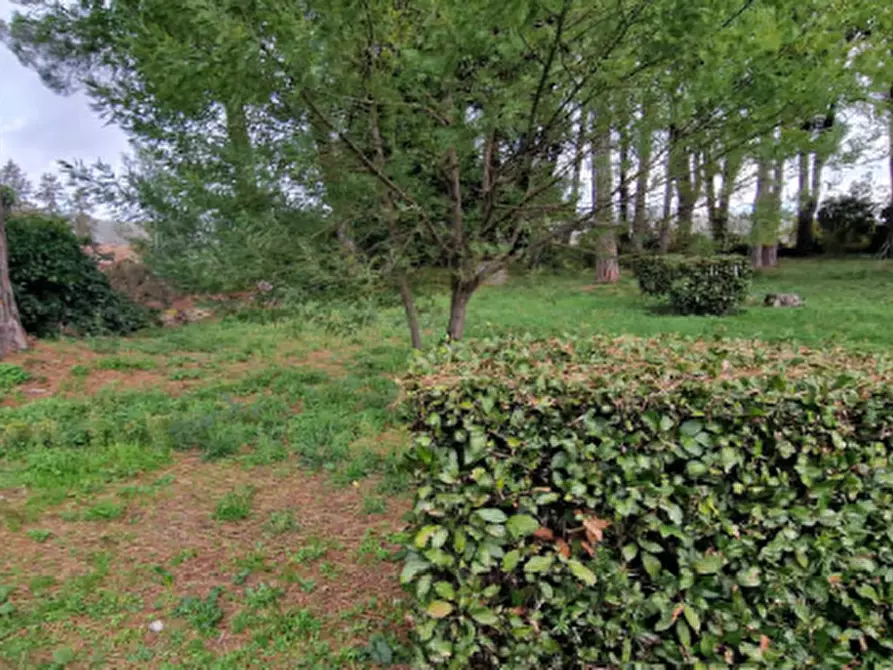 Immagine 2 di Terreno agricolo in vendita  in Via Guglielmo Quattrucci a Grottaferrata