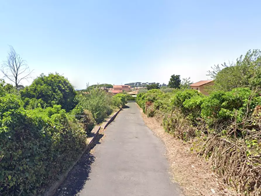 Immagine 8 di Terreno agricolo in vendita  in Via Guglielmo Quattrucci a Grottaferrata