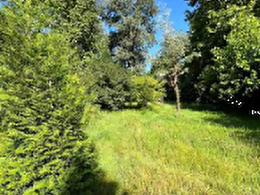 Immagine 2 di Terreno agricolo in vendita  in Via Per Rogeno a Costa Masnaga