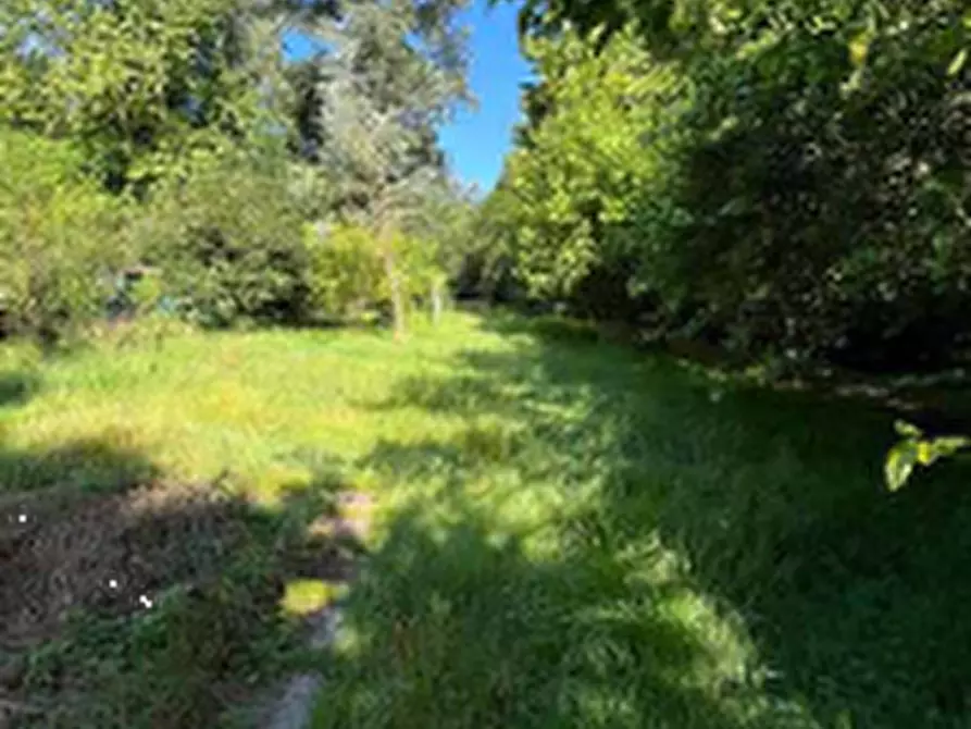 Immagine 1 di Terreno agricolo in vendita  in Via Per Rogeno a Costa Masnaga