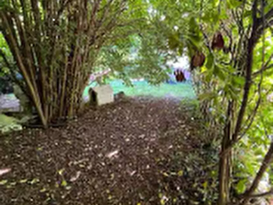 Immagine 5 di Terreno agricolo in vendita  in Via Per Rogeno a Costa Masnaga