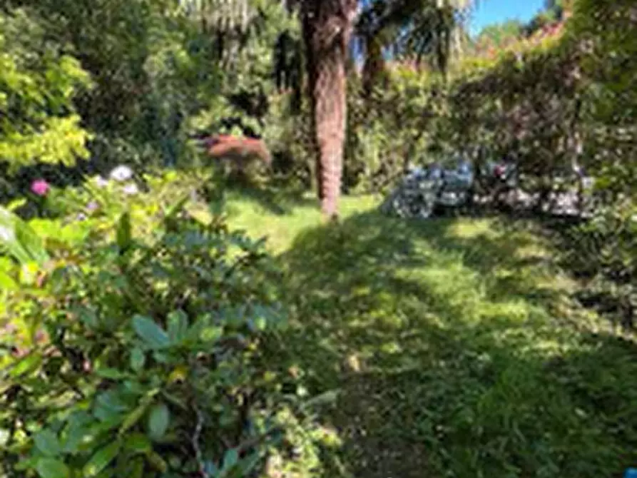 Immagine 7 di Terreno agricolo in vendita  in Via Per Rogeno a Costa Masnaga