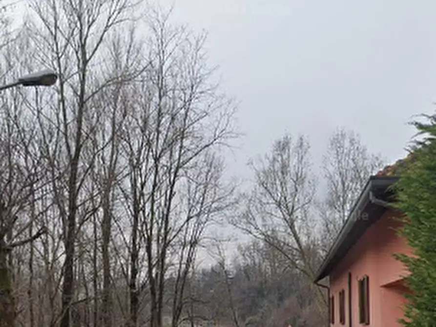 Immagine 8 di Terreno agricolo in vendita  in Via Per Rogeno a Costa Masnaga
