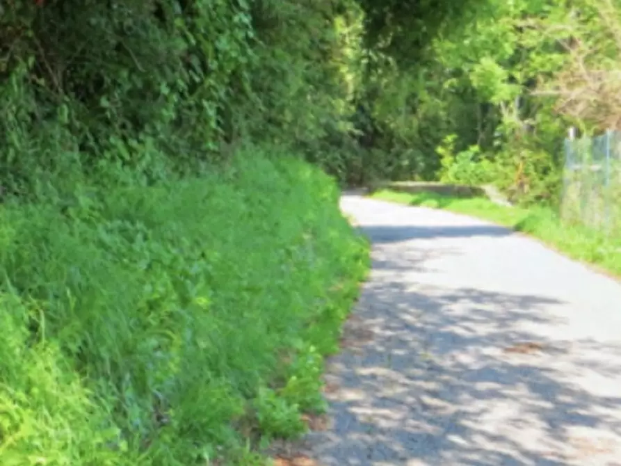 Immagine 2 di Terreno agricolo in vendita  in Frazione Buttello a Valgreghentino