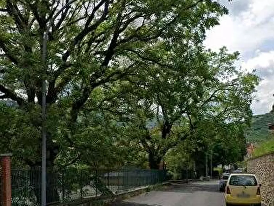 Immagine 3 di Appartamento in vendita  in Via della Pineta a Monteflavio