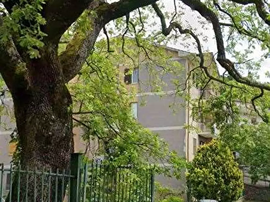 Immagine 5 di Appartamento in vendita  in Via della Pineta a Monteflavio