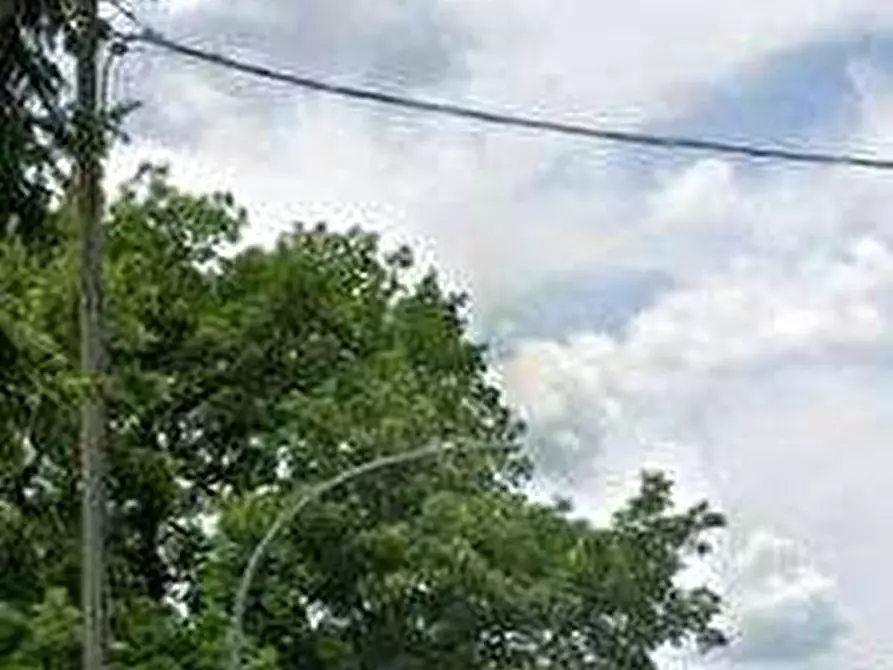 Immagine 8 di Appartamento in vendita  in Via della Pineta a Monteflavio