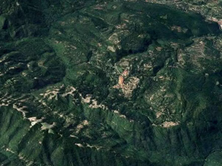 Immagine 13 di Appartamento in vendita  in Via della Pineta a Monteflavio