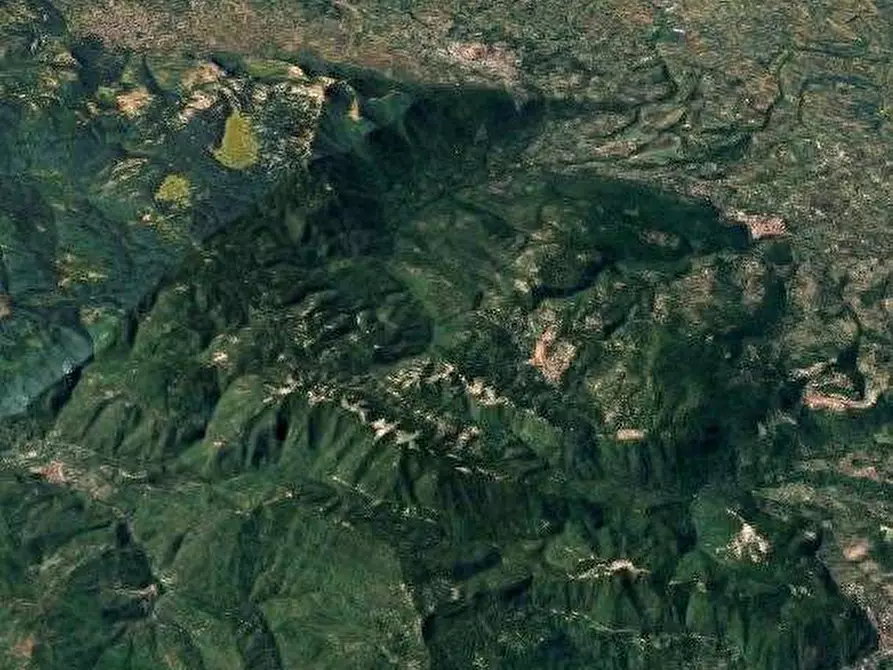 Immagine 14 di Appartamento in vendita  in Via della Pineta a Monteflavio