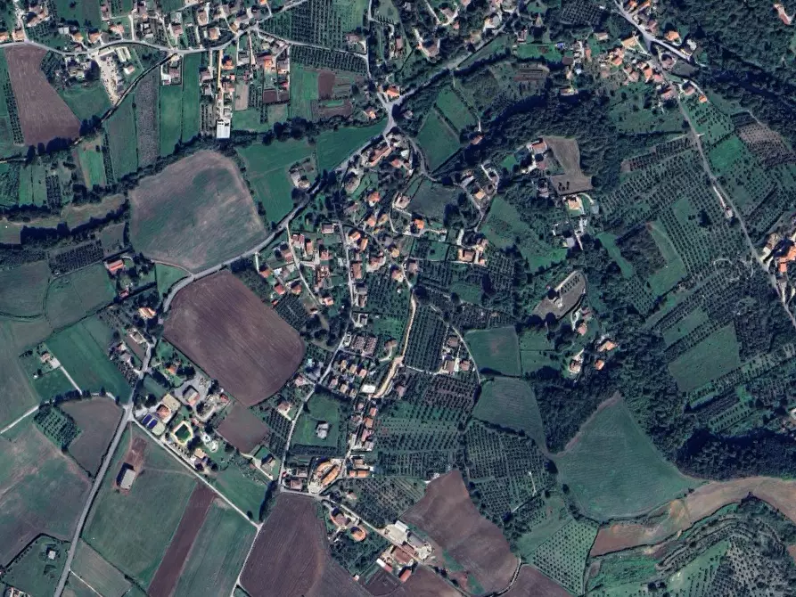 Immagine 2 di Terreno agricolo in vendita  in Ponte del Colle a Artena