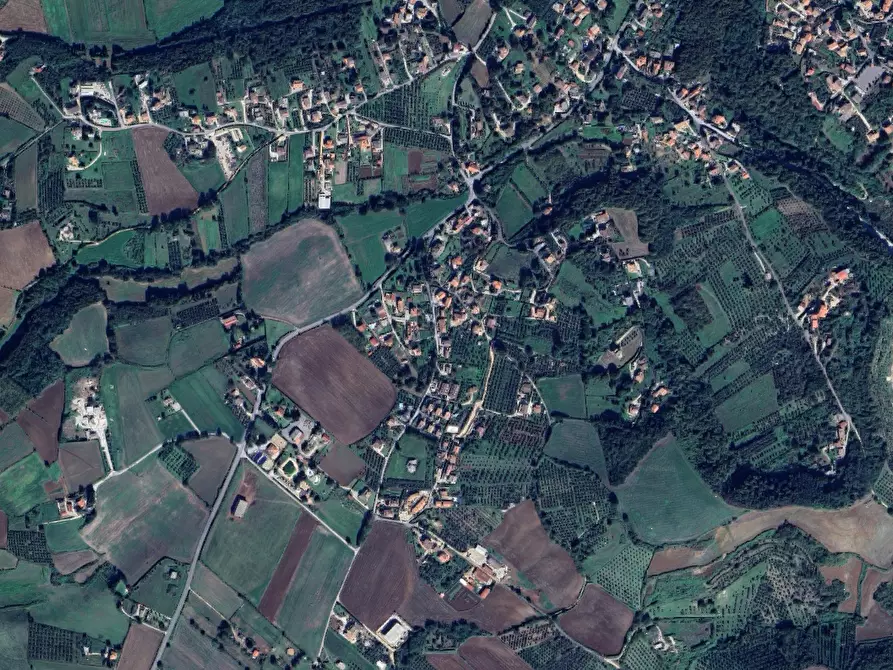 Immagine 3 di Terreno agricolo in vendita  in Ponte del Colle a Artena