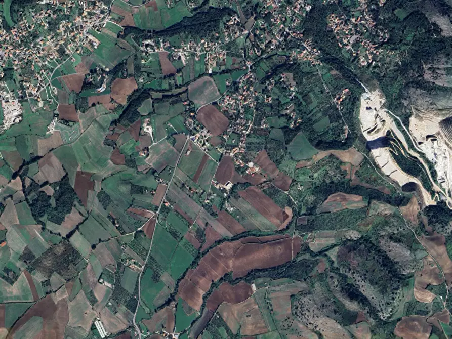 Immagine 5 di Terreno agricolo in vendita  in Ponte del Colle a Artena