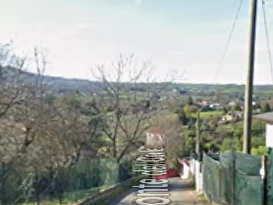 Immagine 8 di Terreno agricolo in vendita  in Ponte del Colle a Artena