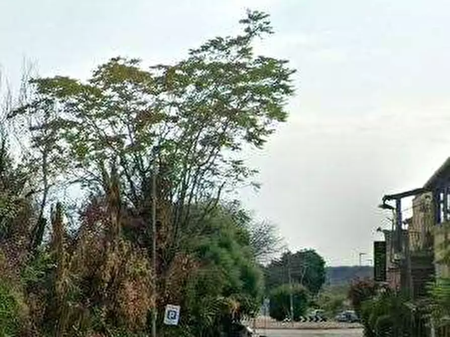 Immagine 4 di Porzione di casa in vendita  in Via Campo Ascolano a Pomezia