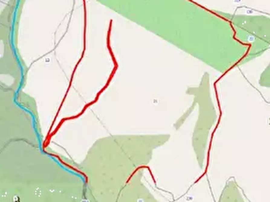 Immagine 4 di Terreno agricolo in vendita  in Località Morlupo a Morlupo