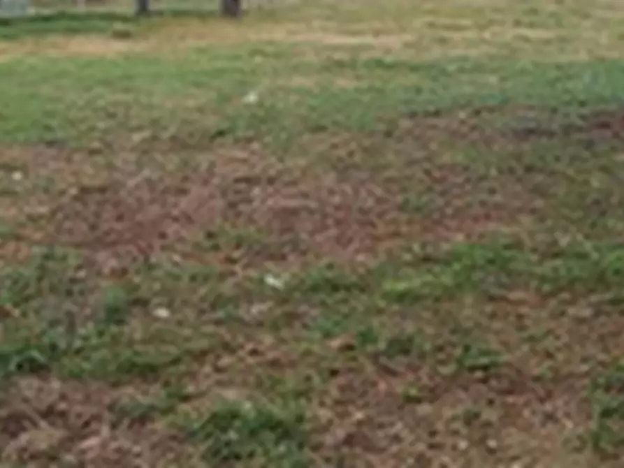 Immagine 2 di Terreno agricolo in vendita  in Via Zeddiani a Roma