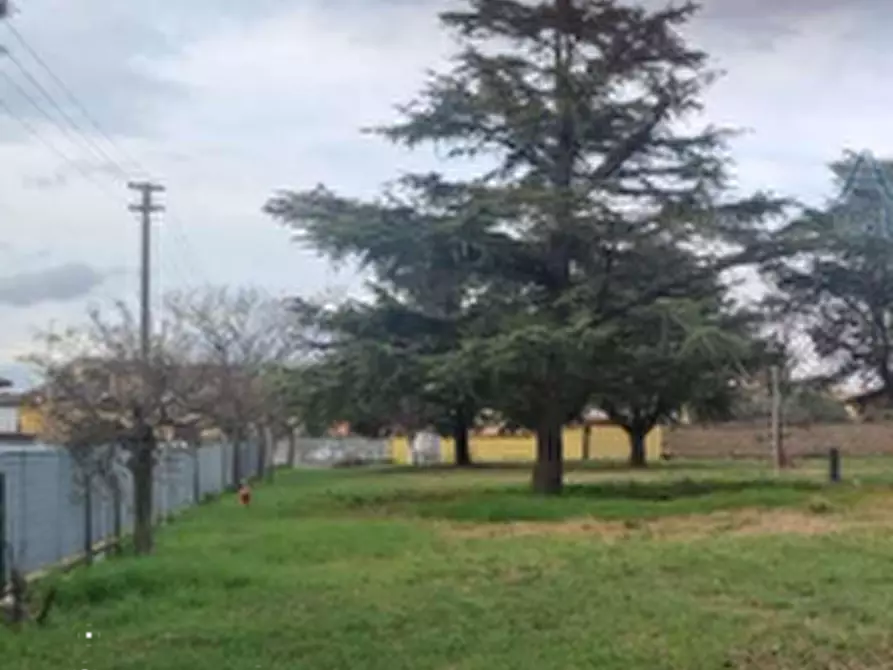 Immagine 7 di Terreno agricolo in vendita  in Via Zeddiani a Roma