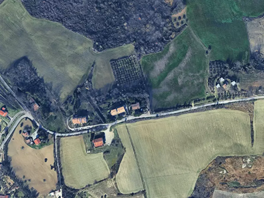 Immagine 2 di Terreno agricolo in vendita  in Via Gorolo a Borghi