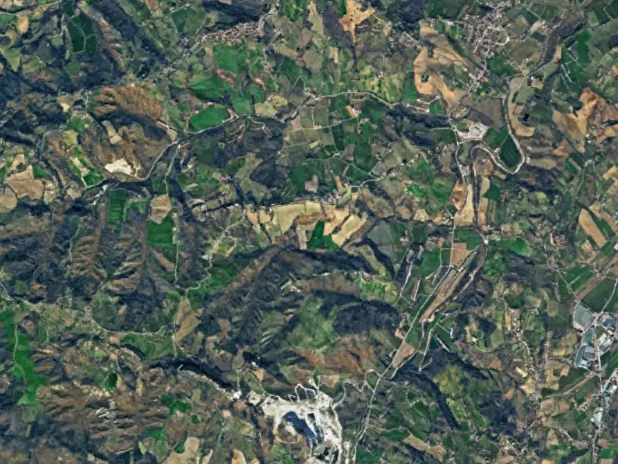 Immagine 3 di Terreno agricolo in vendita  in Via Gorolo a Borghi