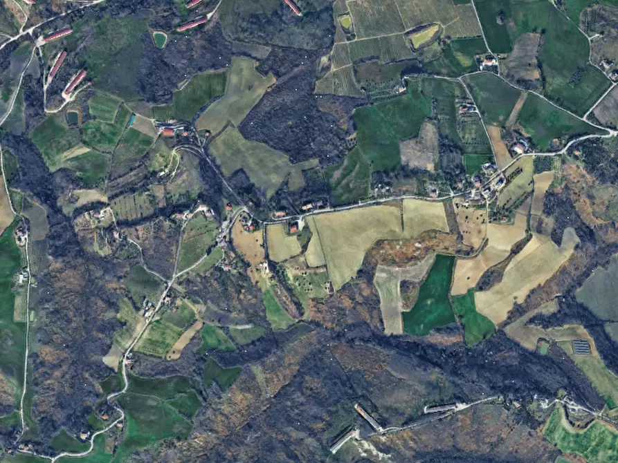 Immagine 1 di Terreno agricolo in vendita  in Via Gorolo a Borghi