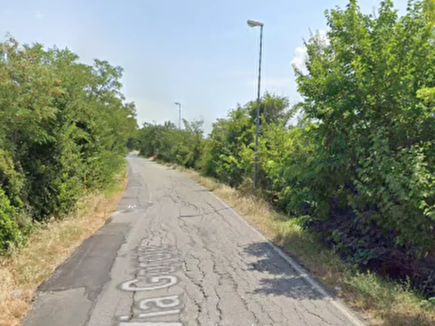 Immagine 4 di Terreno agricolo in vendita  in Via Gorolo a Borghi