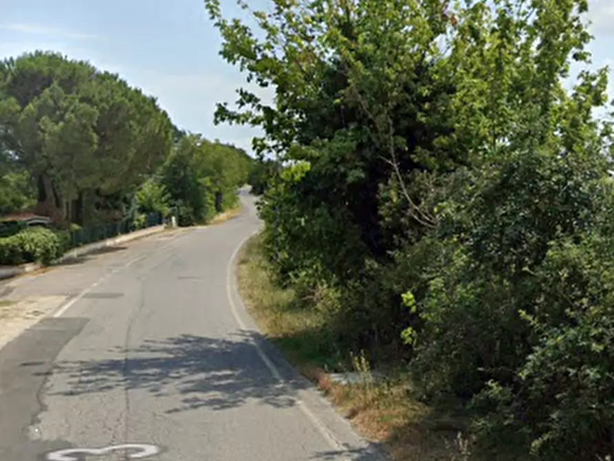 Immagine 5 di Terreno agricolo in vendita  in Via Gorolo a Borghi