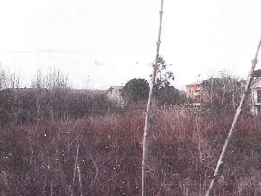 Immagine 5 di Terreno agricolo in vendita  in Via Lunga a Vallefoglia