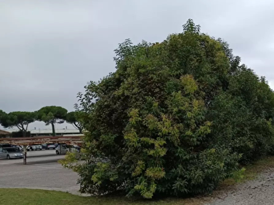 Immagine 4 di Terreno edificabile in vendita  in Via Carnia a Majano