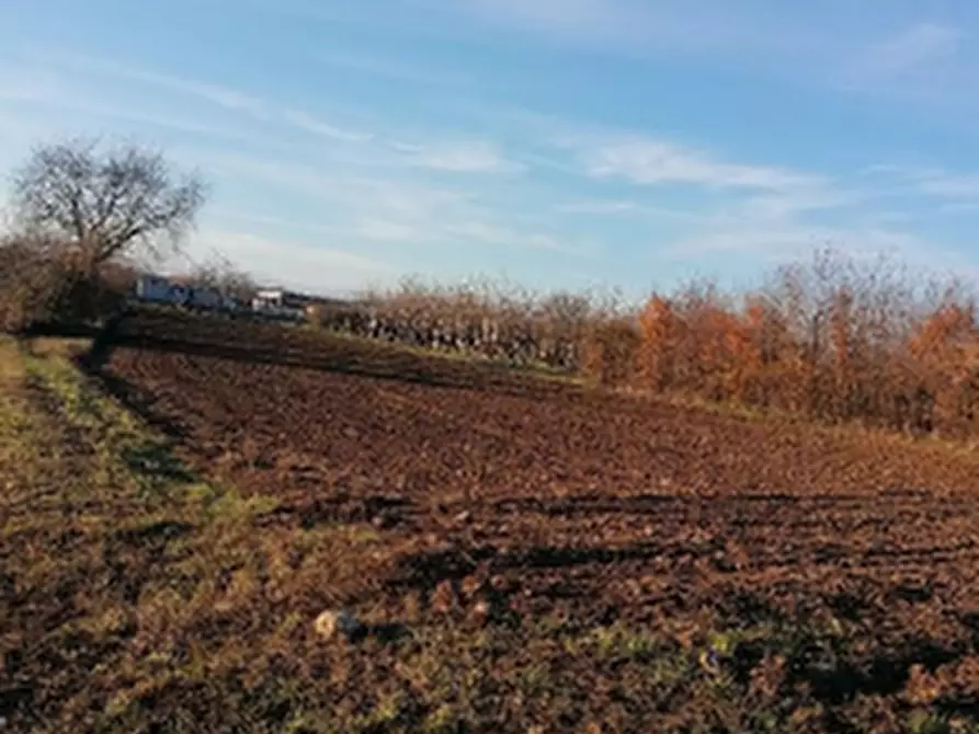 Immagine 1 di Terreno agricolo in vendita  in Strada Longaris a Tavagnacco