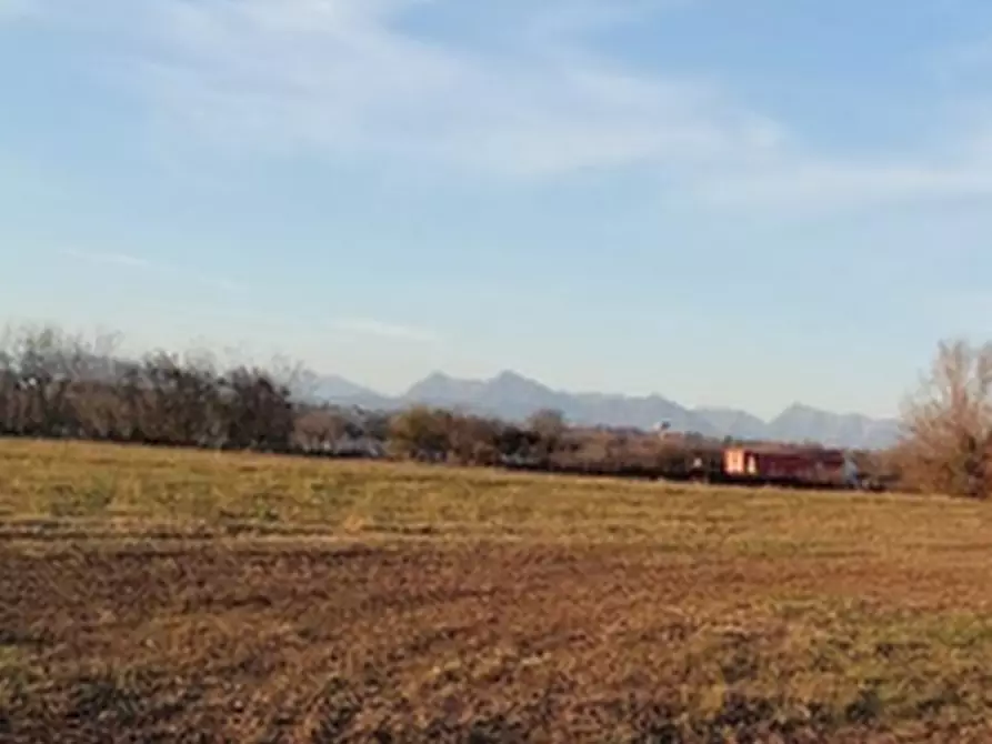 Immagine 3 di Terreno agricolo in vendita  in Strada Longaris a Tavagnacco