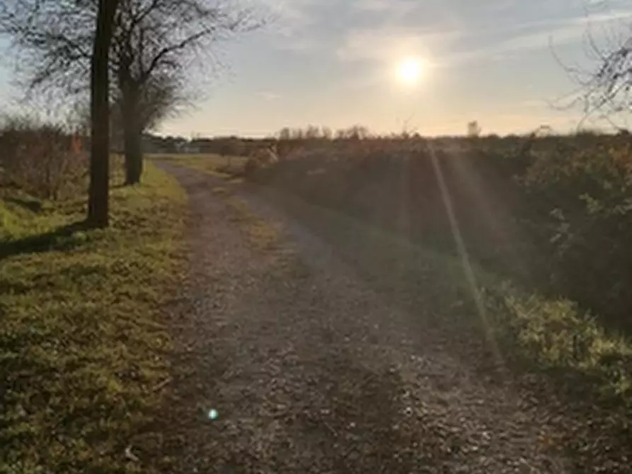 Immagine 5 di Terreno agricolo in vendita  in Strada Longaris a Tavagnacco