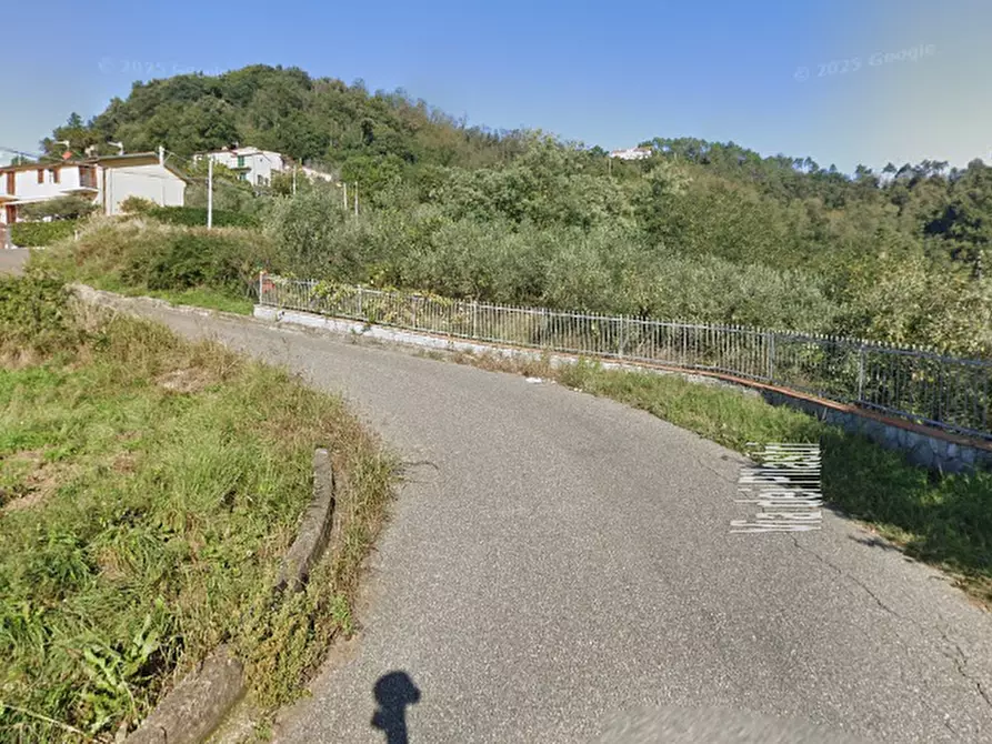 Immagine 9 di Negozio in vendita  in Via dei Pilastri a Fosdinovo