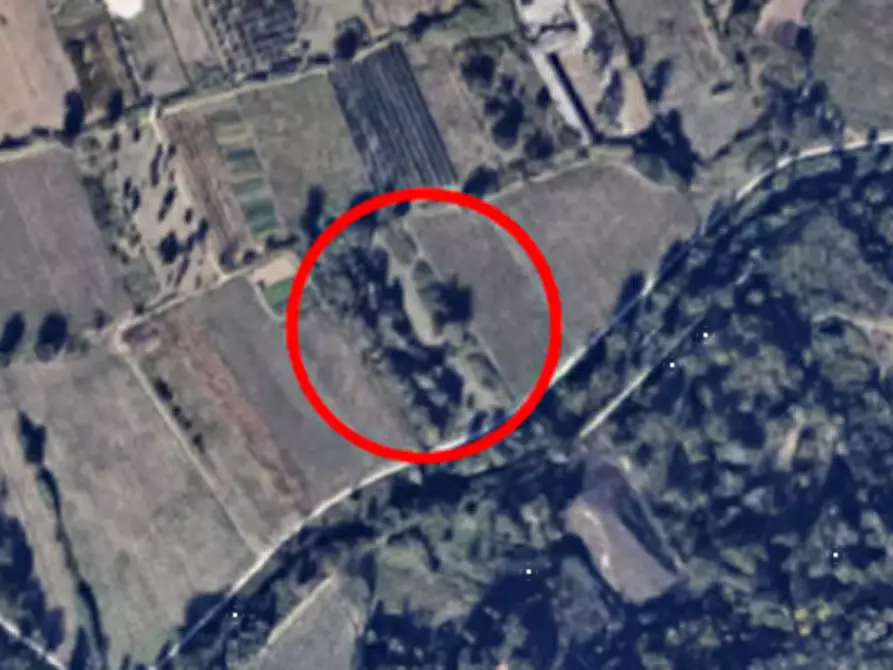 Immagine 3 di Terreno agricolo in vendita  in SS 263 a Villamagna