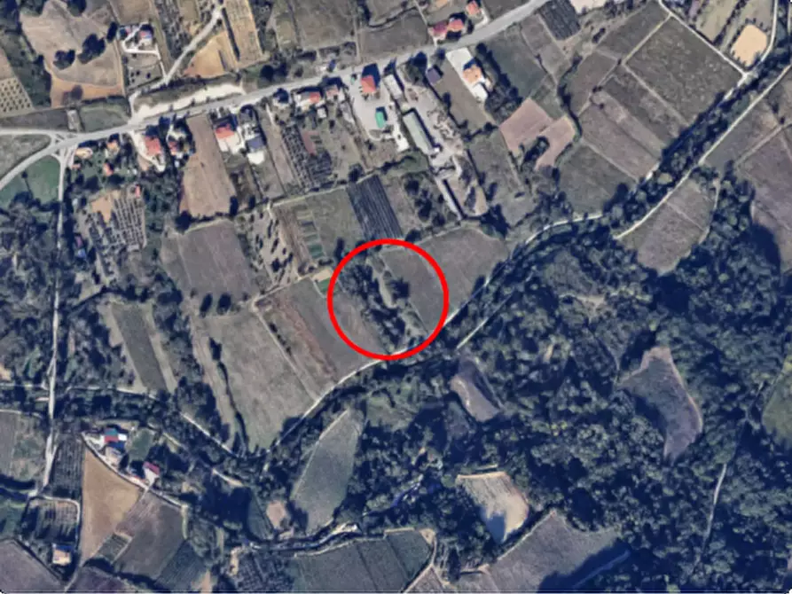 Immagine 1 di Terreno agricolo in vendita  in SS 263 a Villamagna
