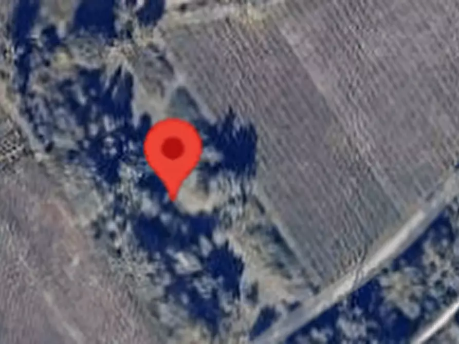 Immagine 5 di Terreno agricolo in vendita  in SS 263 a Villamagna
