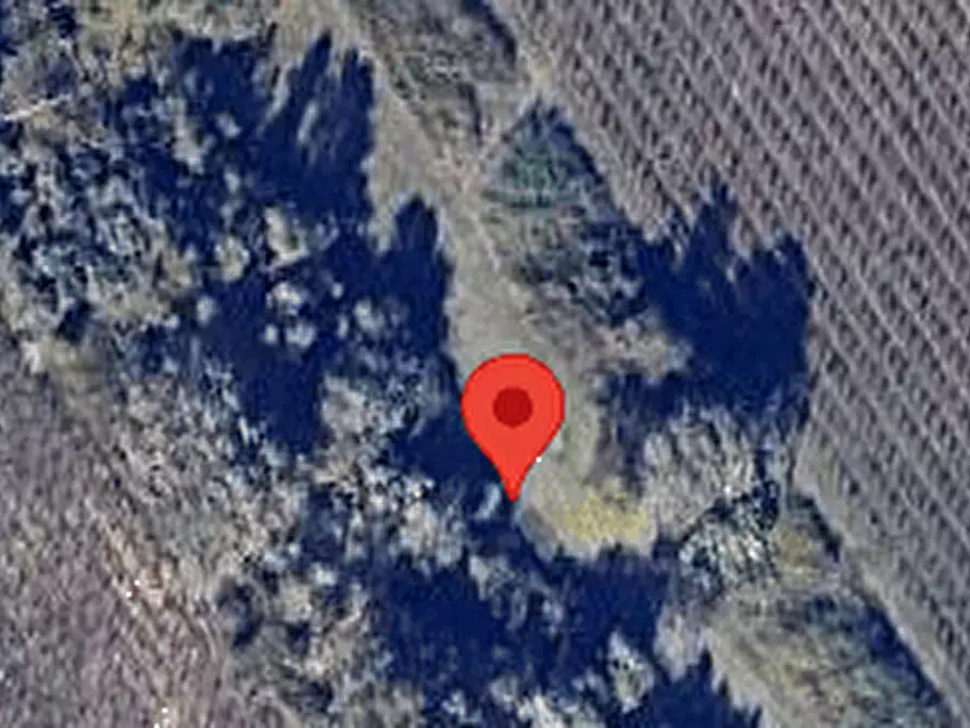 Immagine 6 di Terreno agricolo in vendita  in SS 263 a Villamagna