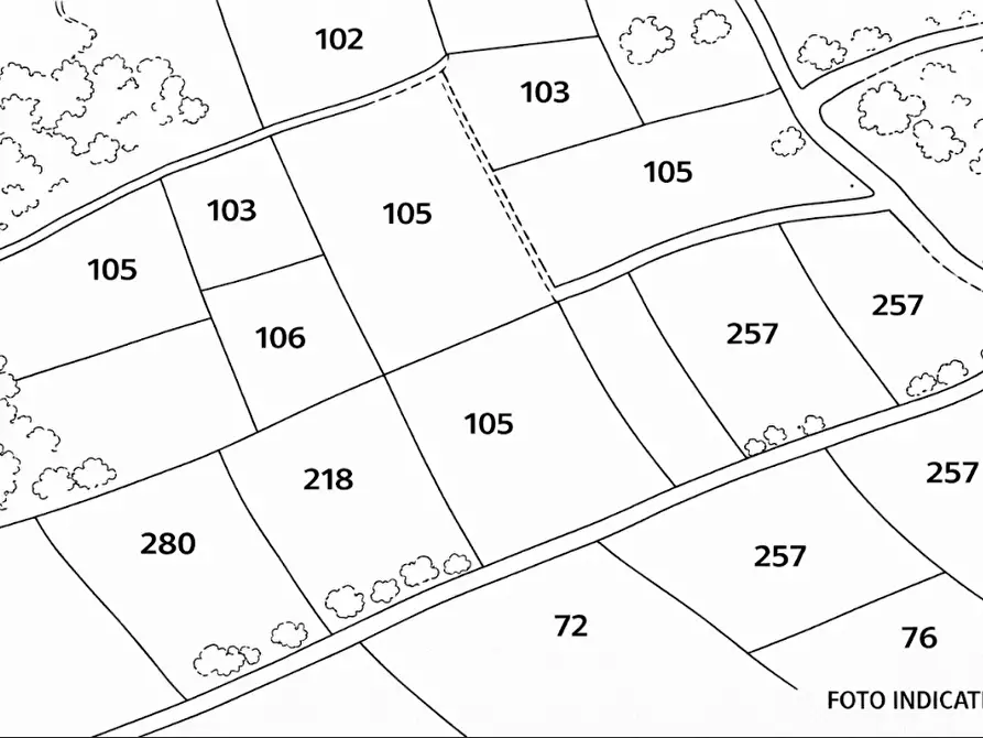 Immagine 8 di Terreno agricolo in vendita  in SS 263 a Villamagna