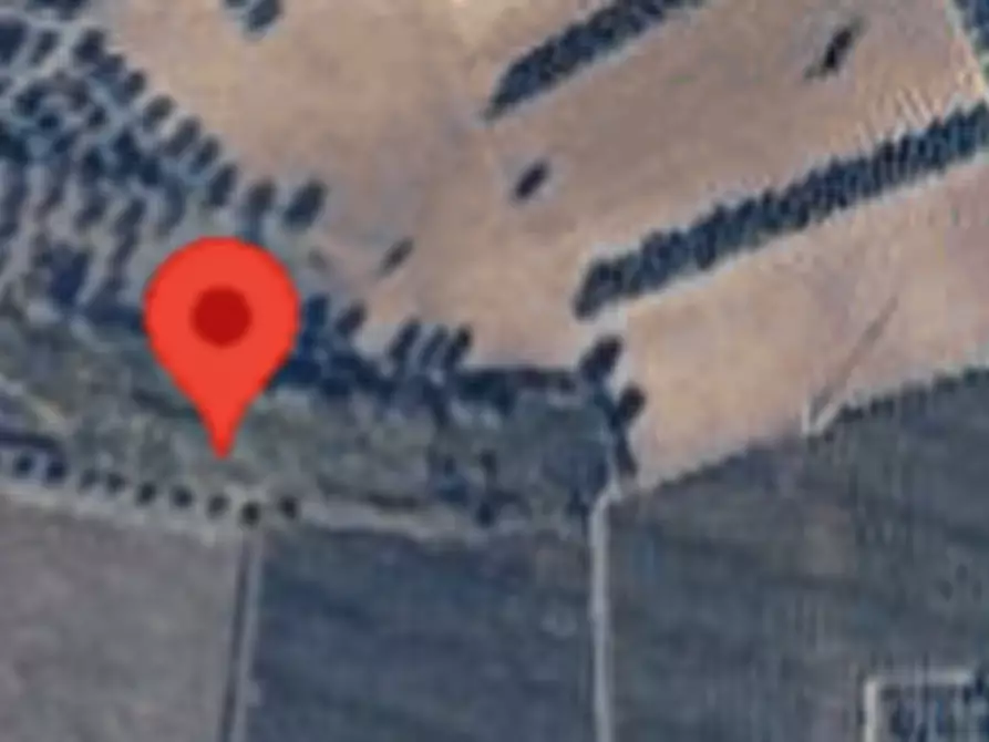 Immagine 6 di Terreno agricolo in vendita  in via Torre Menè a Ortona