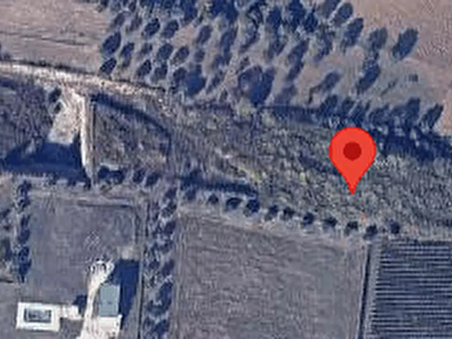 Immagine 7 di Terreno agricolo in vendita  in via Torre Menè a Ortona