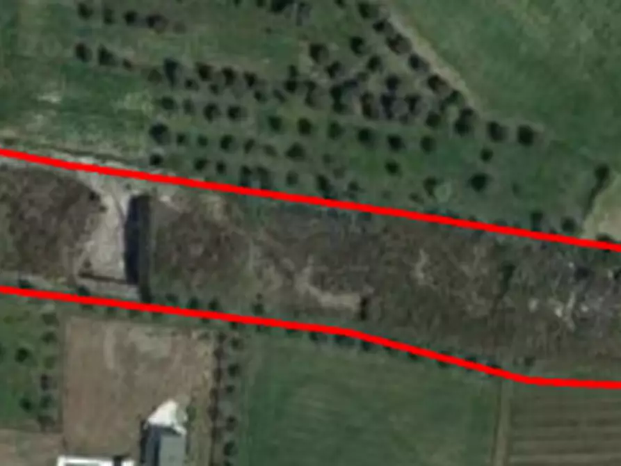 Immagine 2 di Terreno agricolo in vendita  in via Torre Menè a Ortona